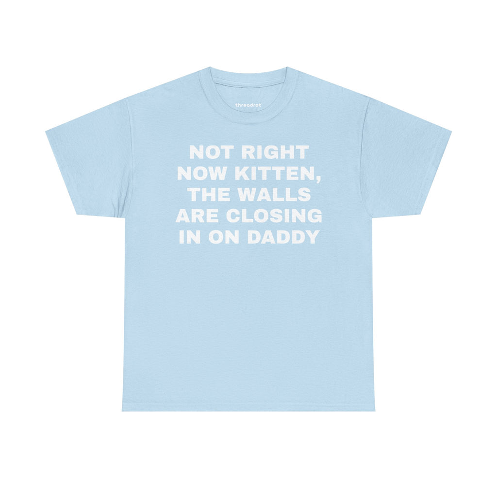 Not right now kitten, the walls are closing in on daddy