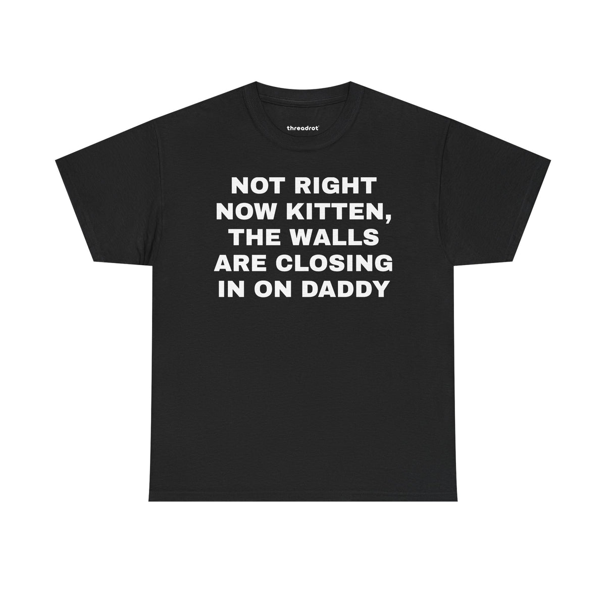 Not right now kitten, the walls are closing in on daddy