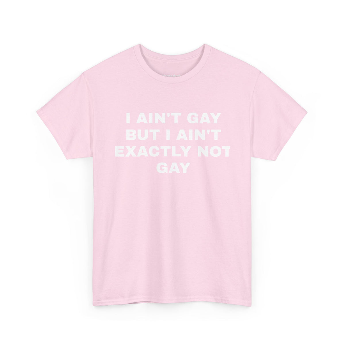 I Ain't Gay But I Ain't Exactly Not Gay