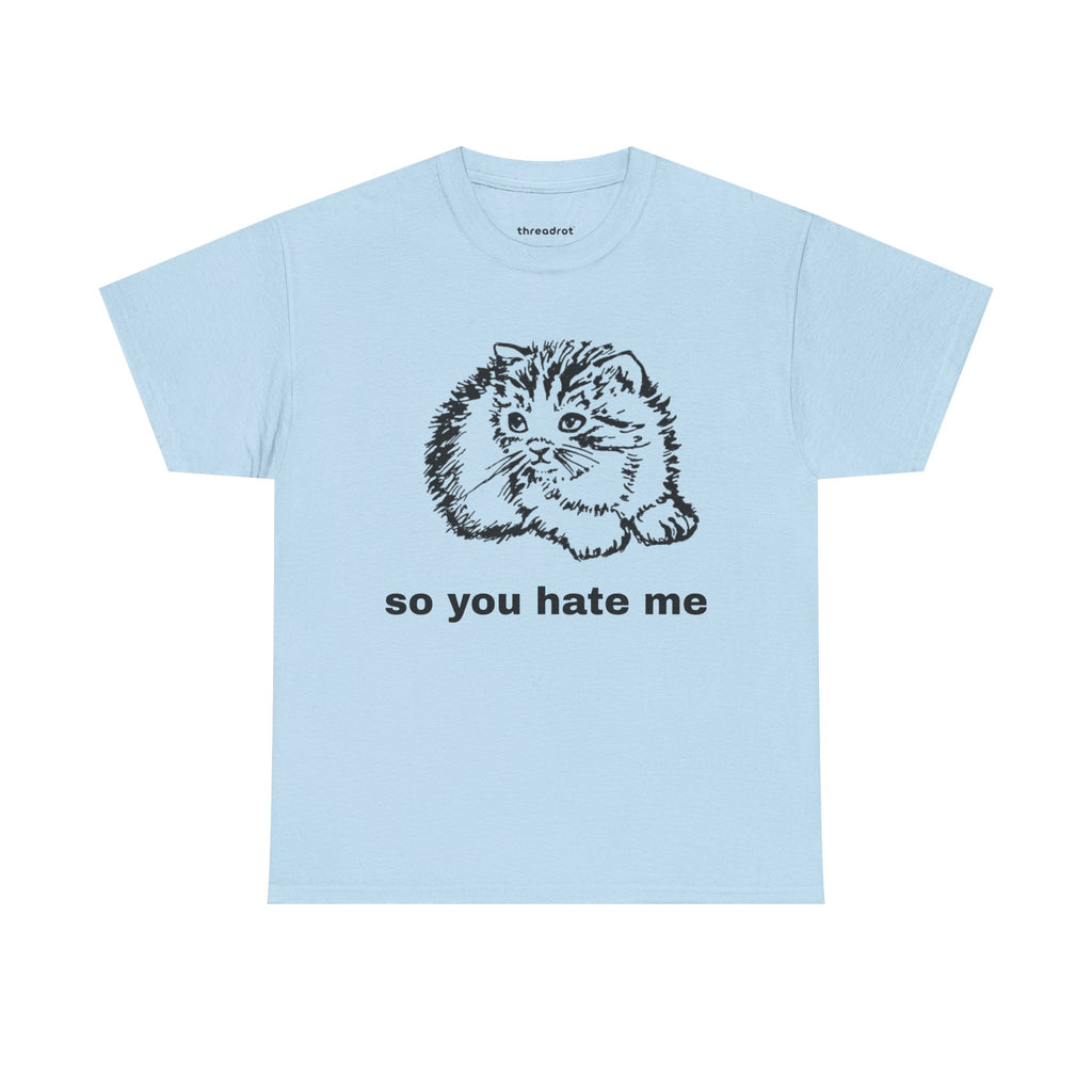 So You Hate Me
